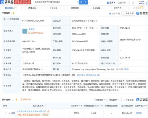 思特奇上海新設數字科技子公司，加碼網絡與信息安全軟件開發