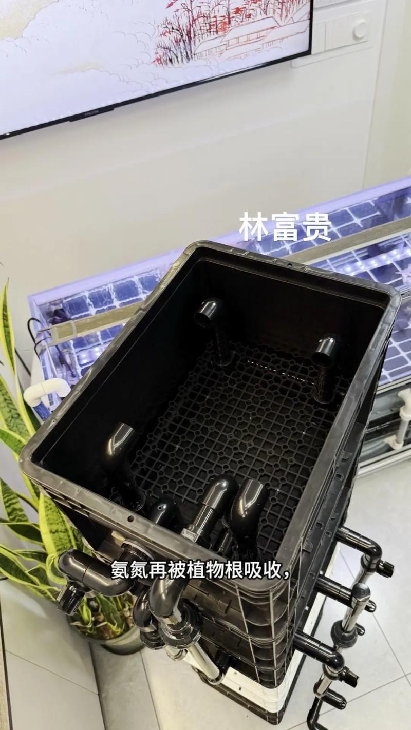 周轉箱沼澤過濾原理詳解 從水泵抽水到自然凈化