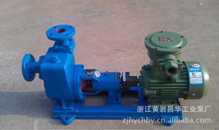 浙江黃巖昌華工業泵廠 打造精品水泵，驅動工業未來